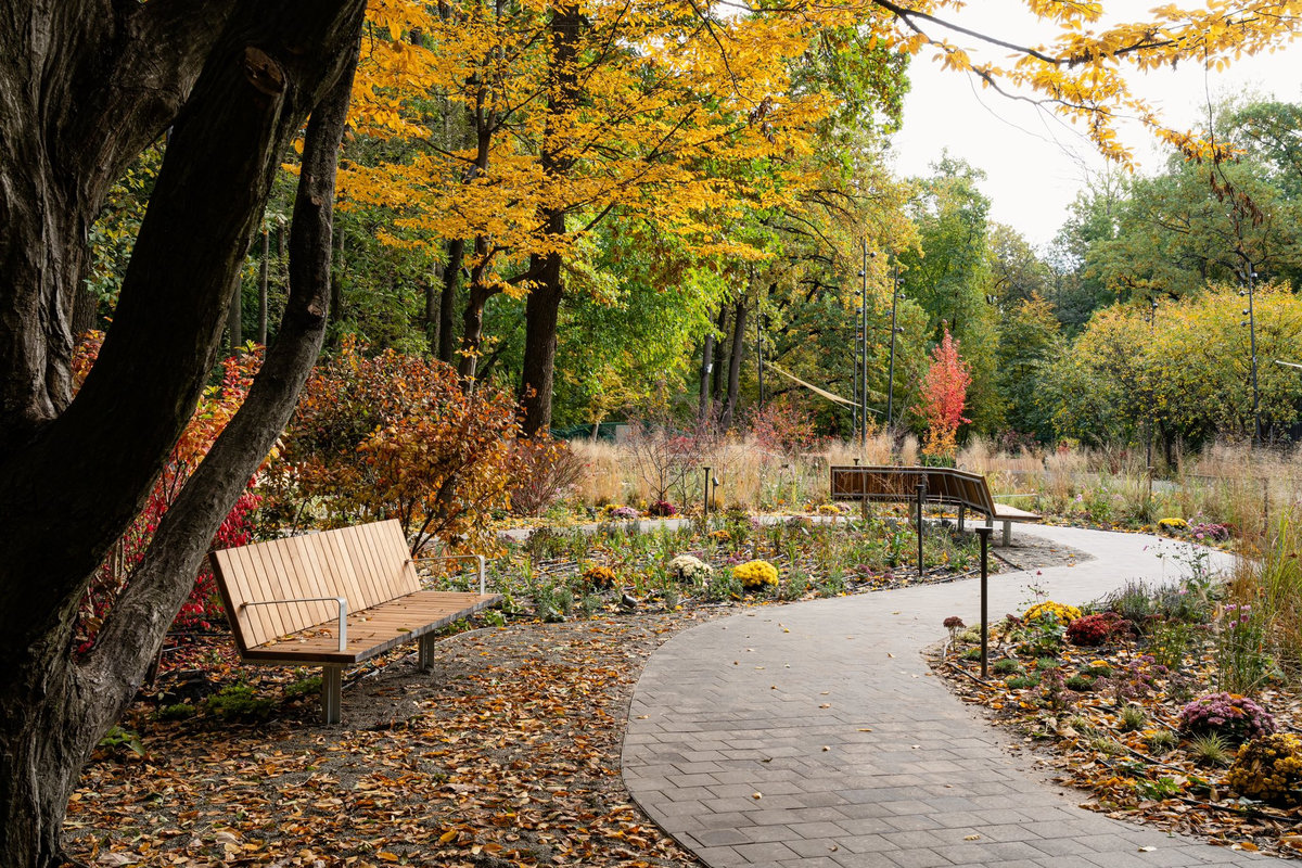 Терапевтичний сад