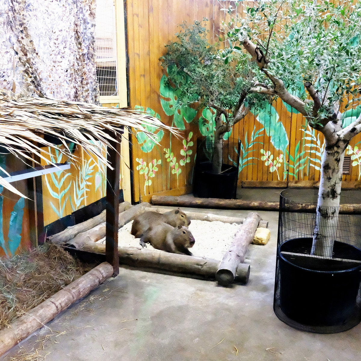 Київський зоопарк