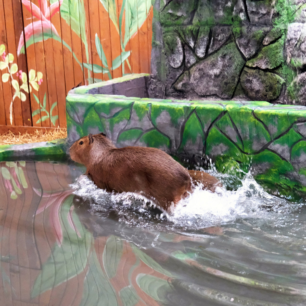 Київський зоопарк