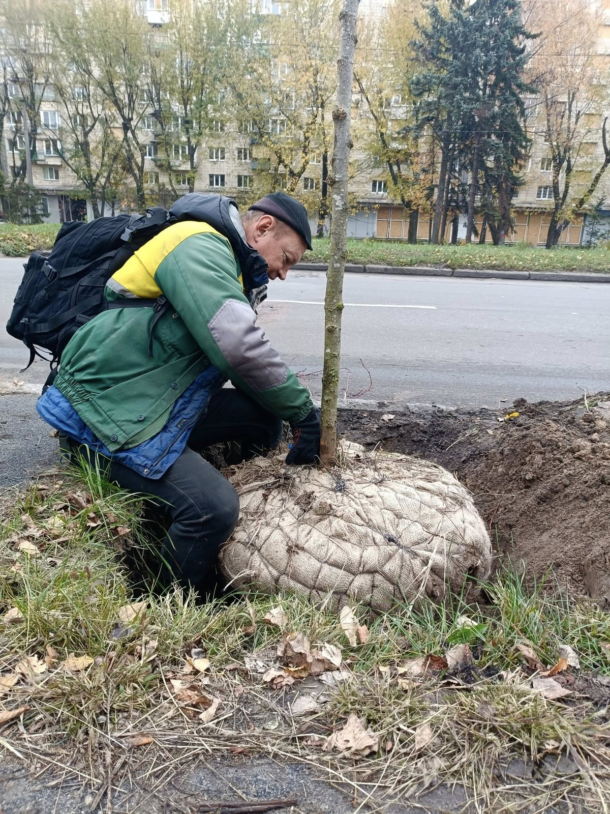 озеленення Києва