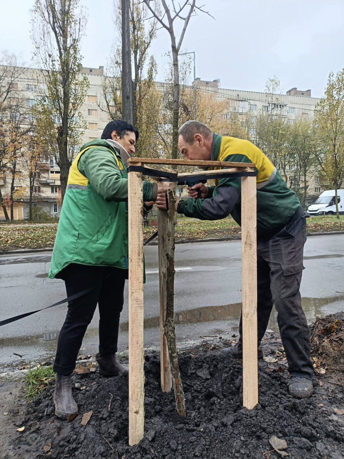 озеленення Києва
