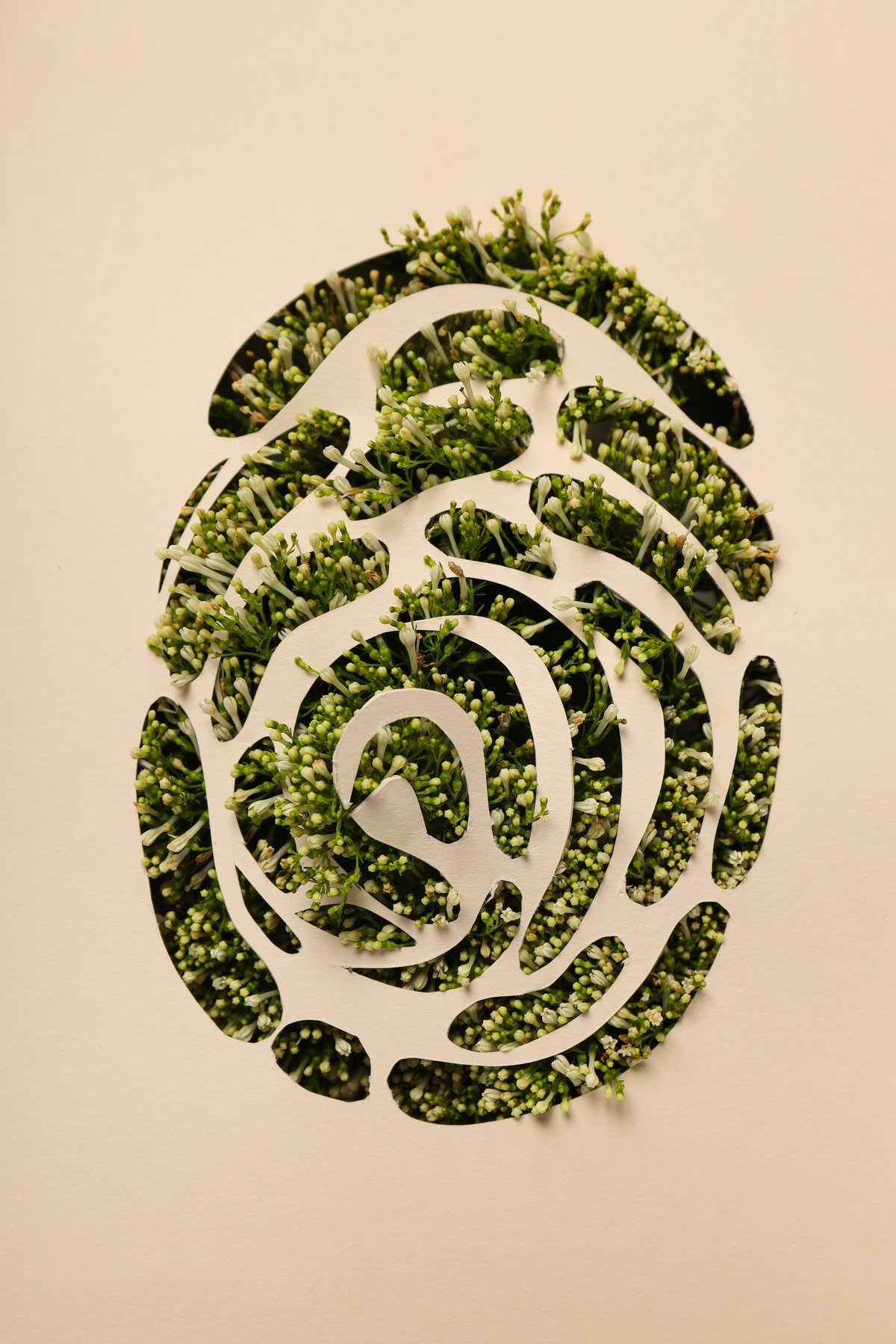 Marie Claire Ukraine