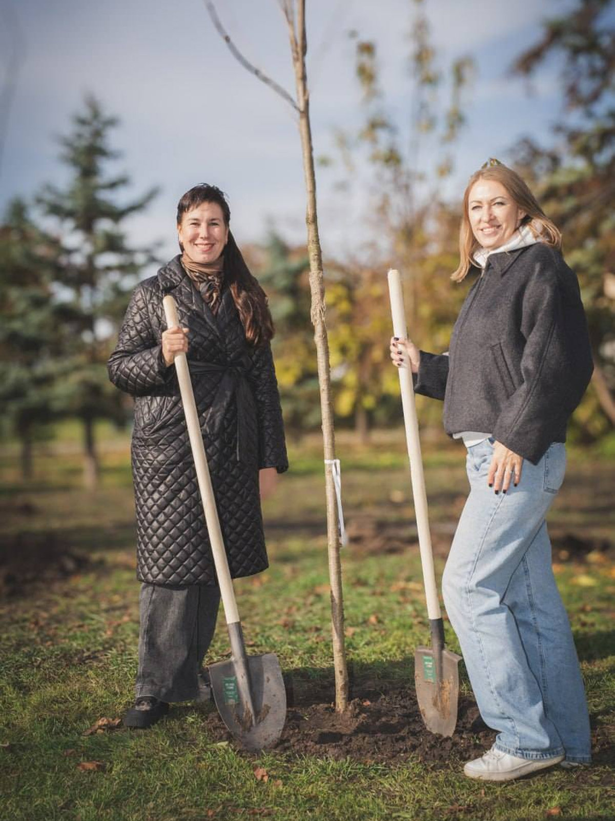 сквер у Дарницькому районі