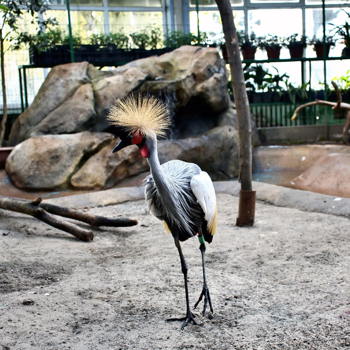 Київський зоопарк