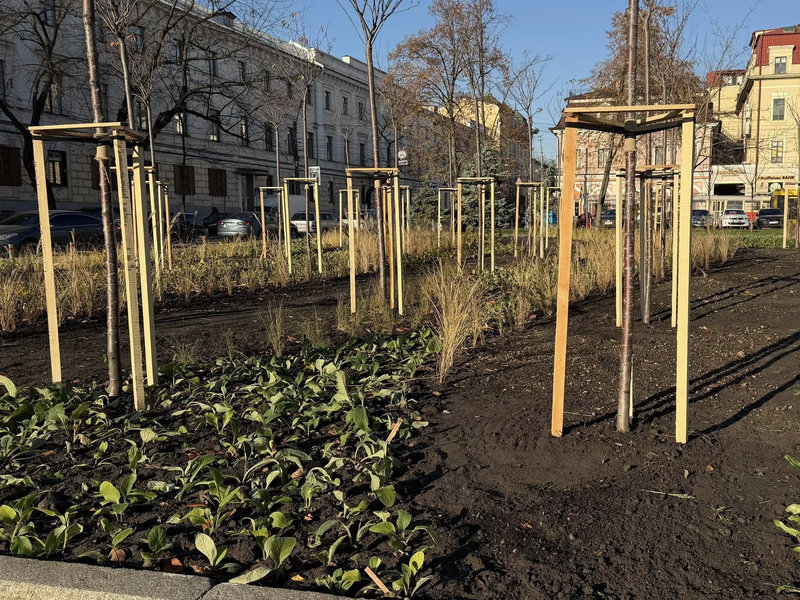 сквер на Контрактовій площі