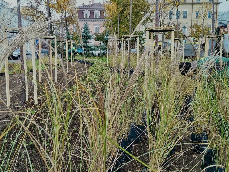 сквер на Контрактовій площі