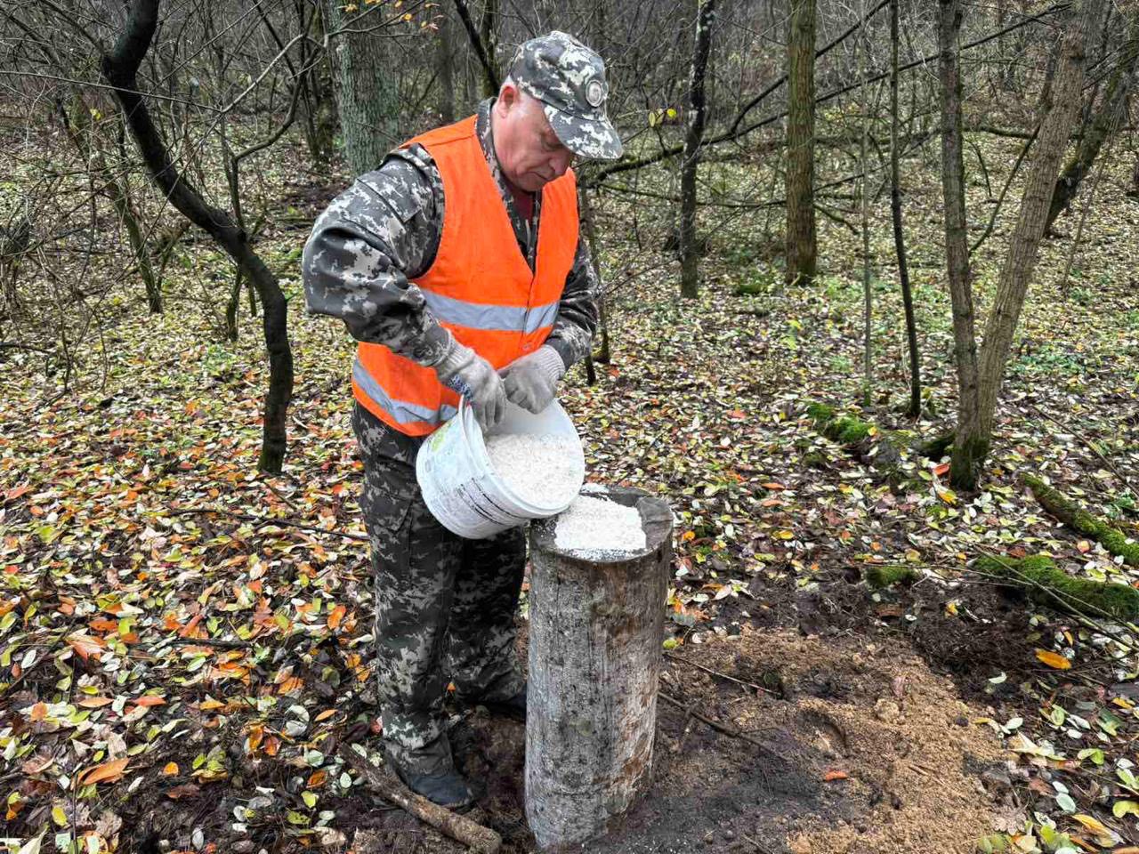 годівниці для тварин