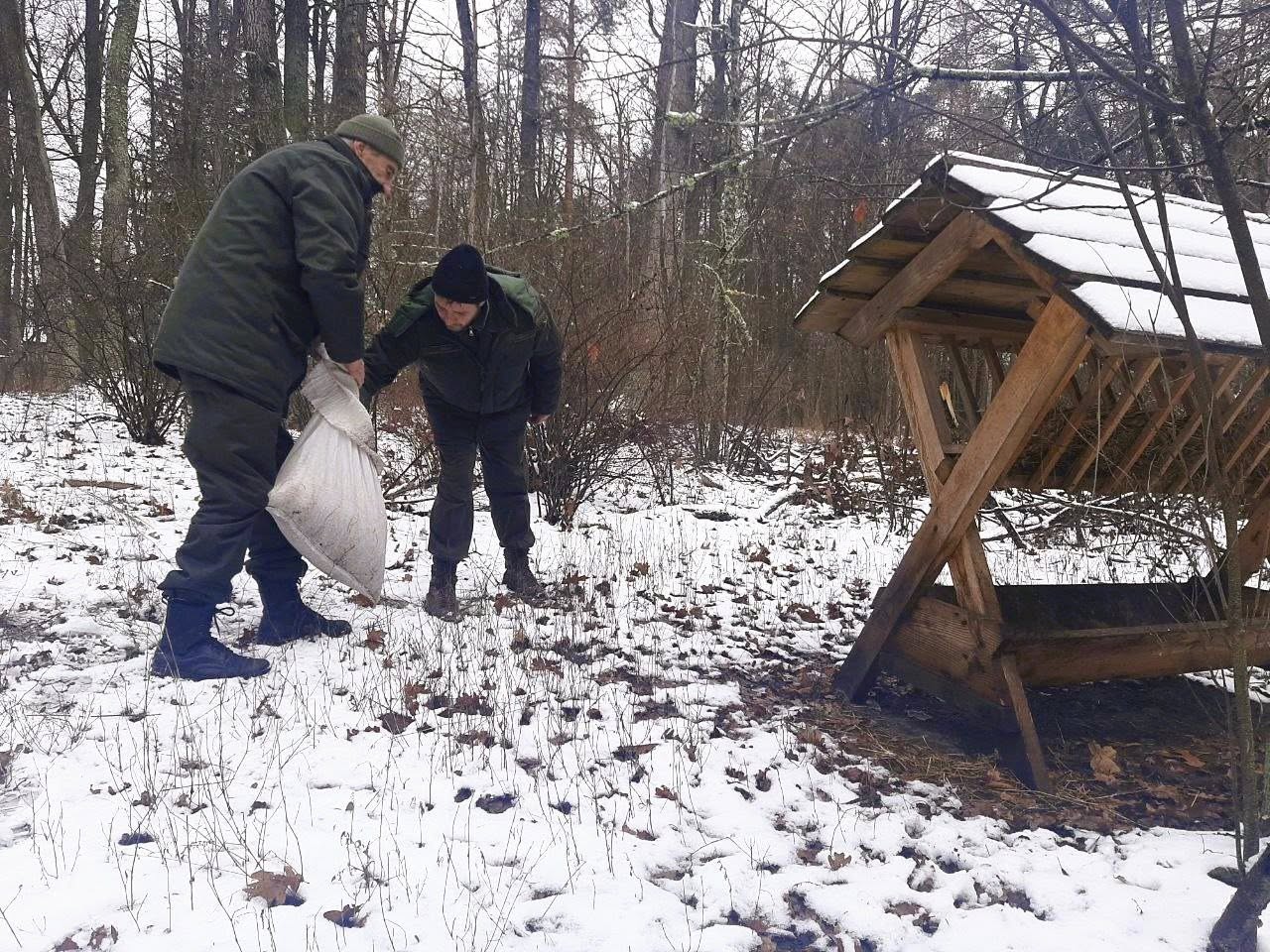 годівниці для тварин