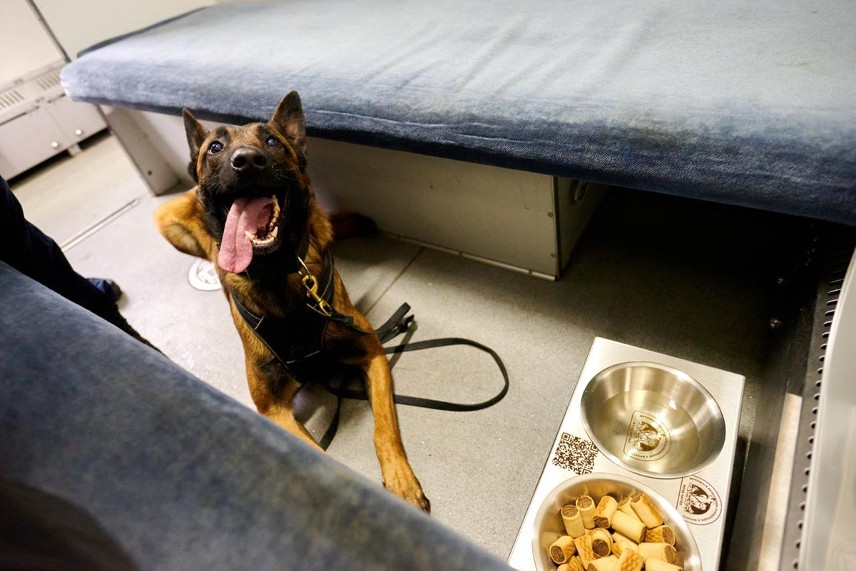 Вагони незламності