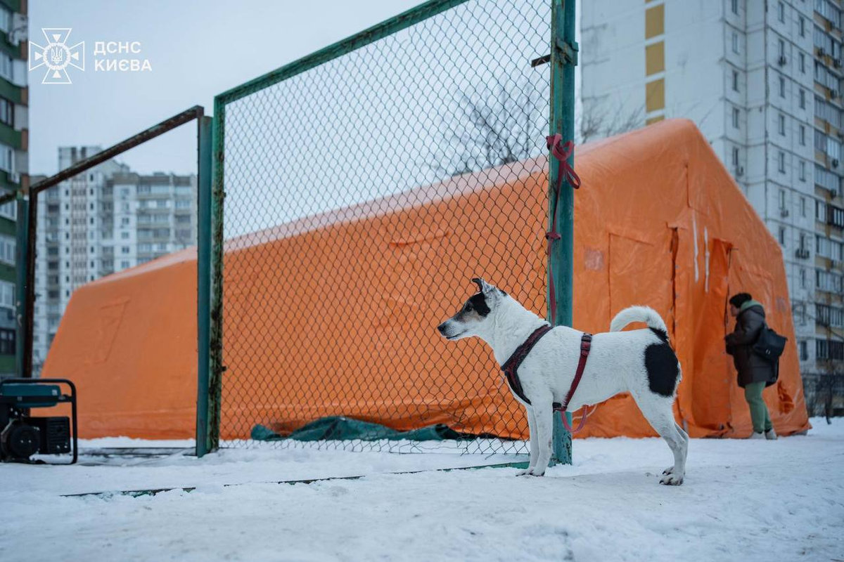 Пункт незламності