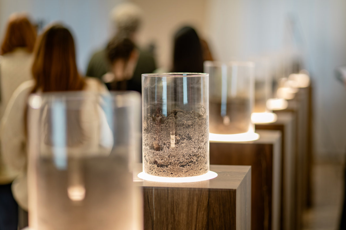 театр Франка