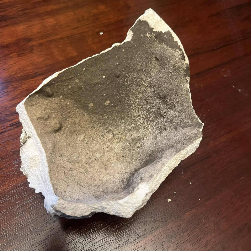 погруддя Пушкіна в Києві