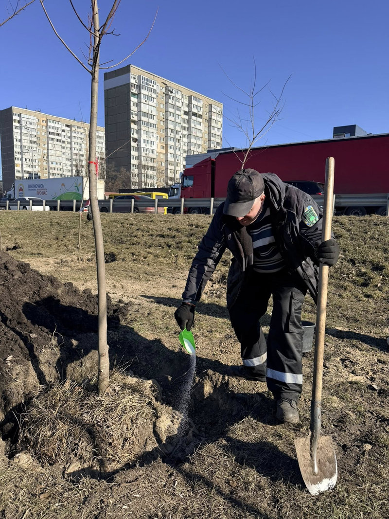 Київзеленбуд