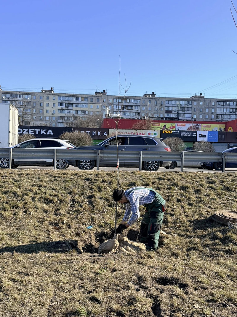 Київзеленбуд