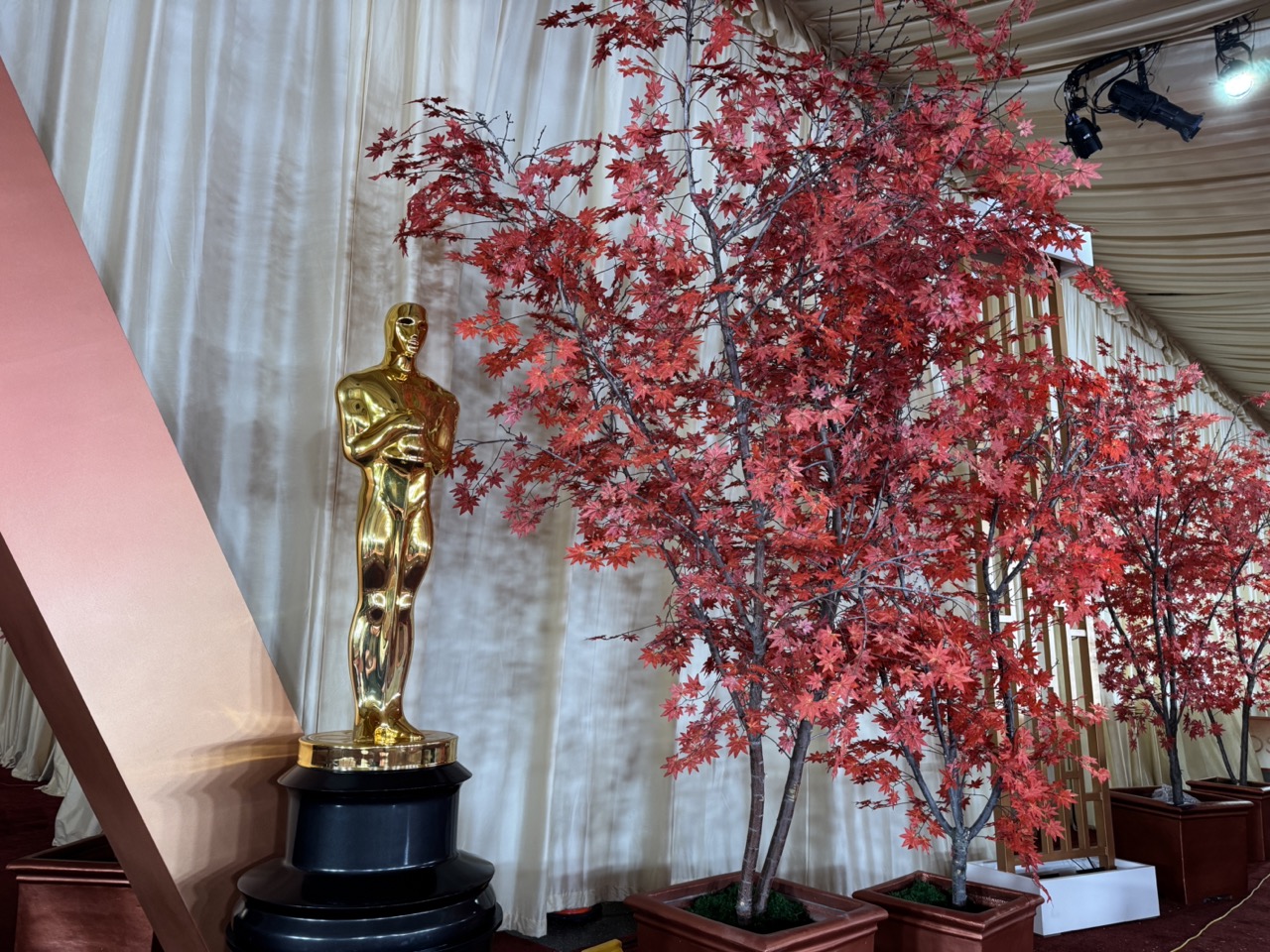 Як потрапити на Оскар: досвід української журналістки