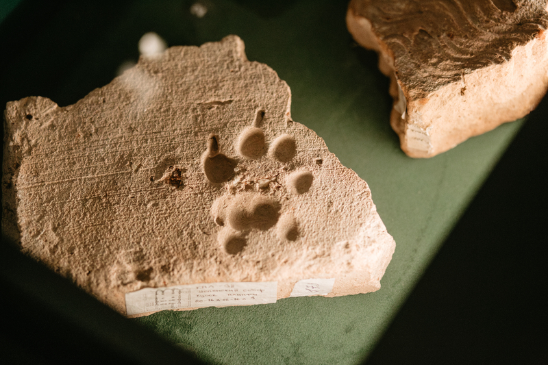 Виставка Культурна валіза на Центральному вокзалі