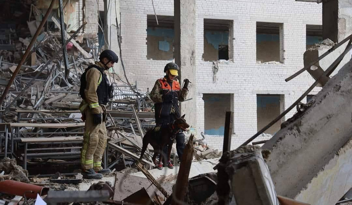 доберман Ханна