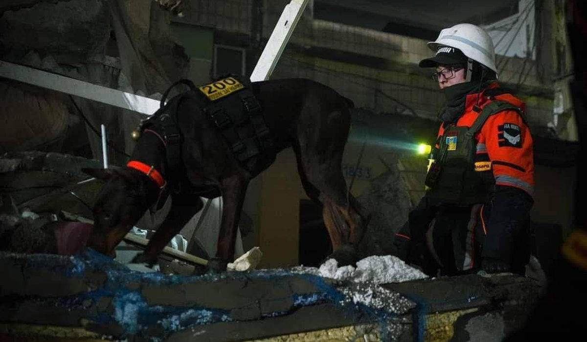 доберман Ханна