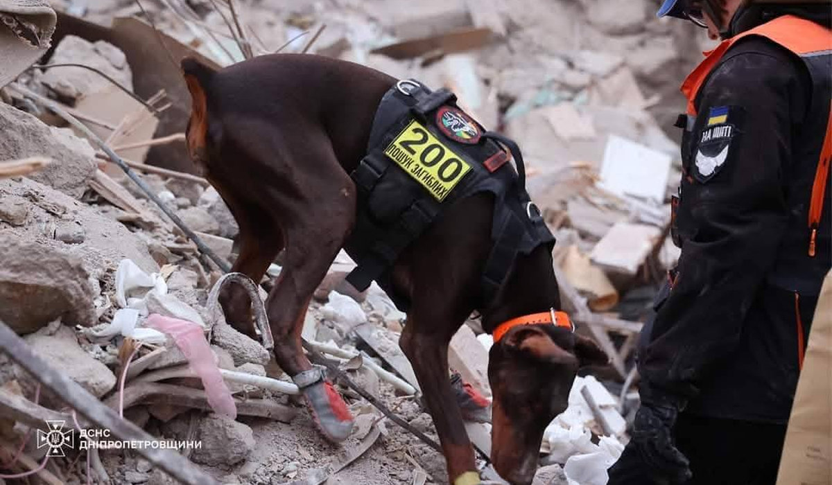 доберман Ханна