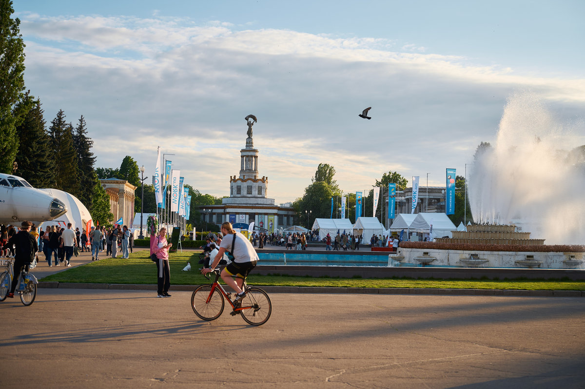 Фестиваль кар'єри