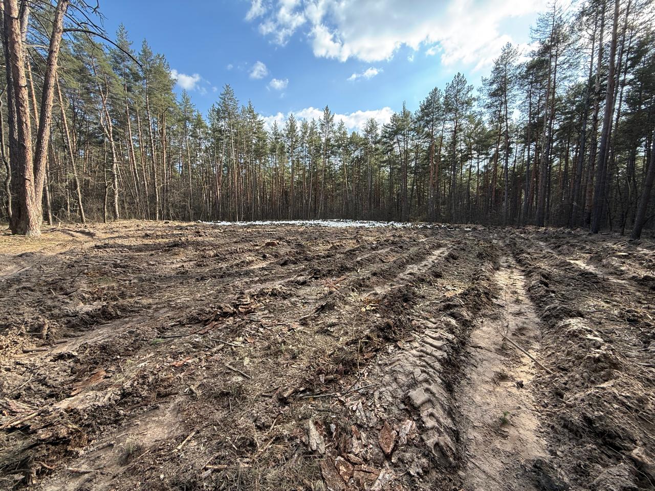 Відновлення лісу в Дарницькому районі