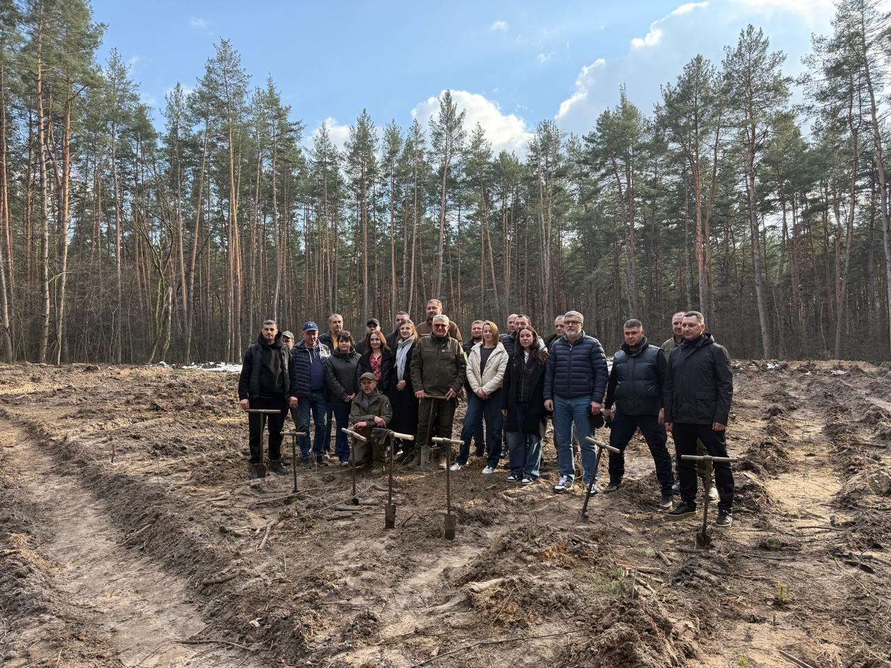 Відновлення лісу в Дарницькому районі