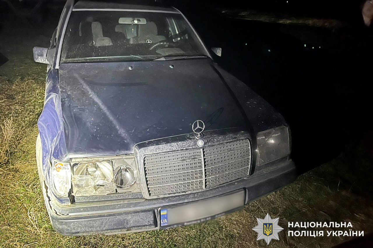 збили оленя Бориса