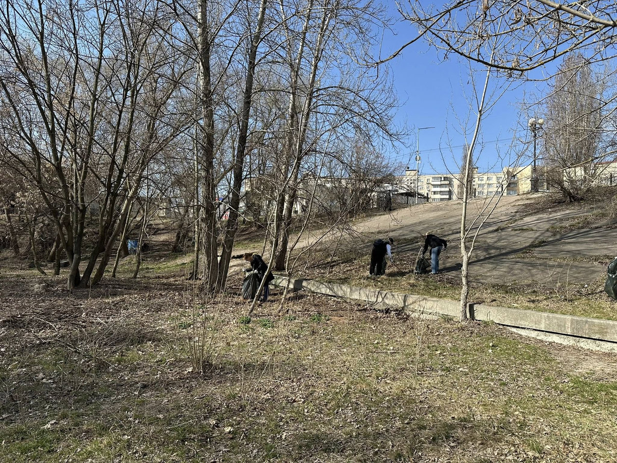 Толока на Оболонській затоці