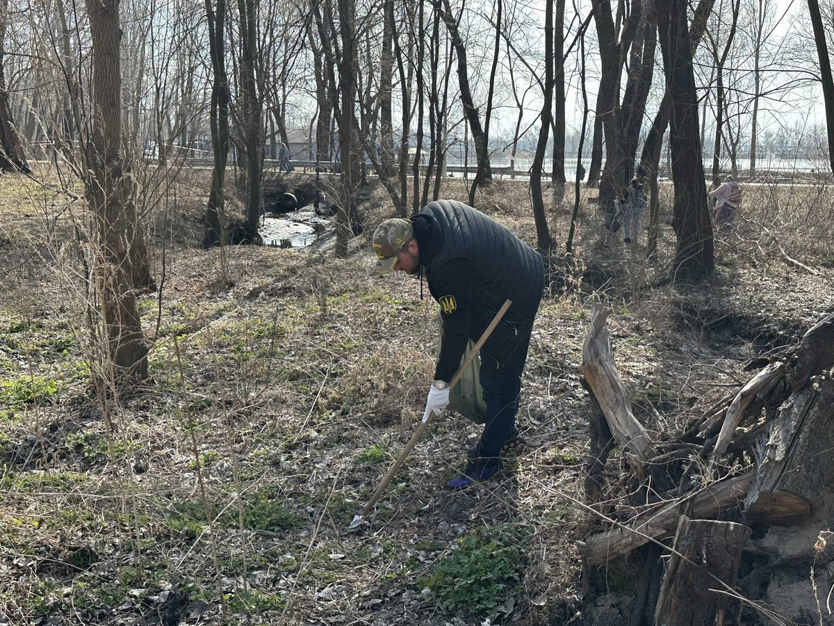 Толока на Оболонській затоці