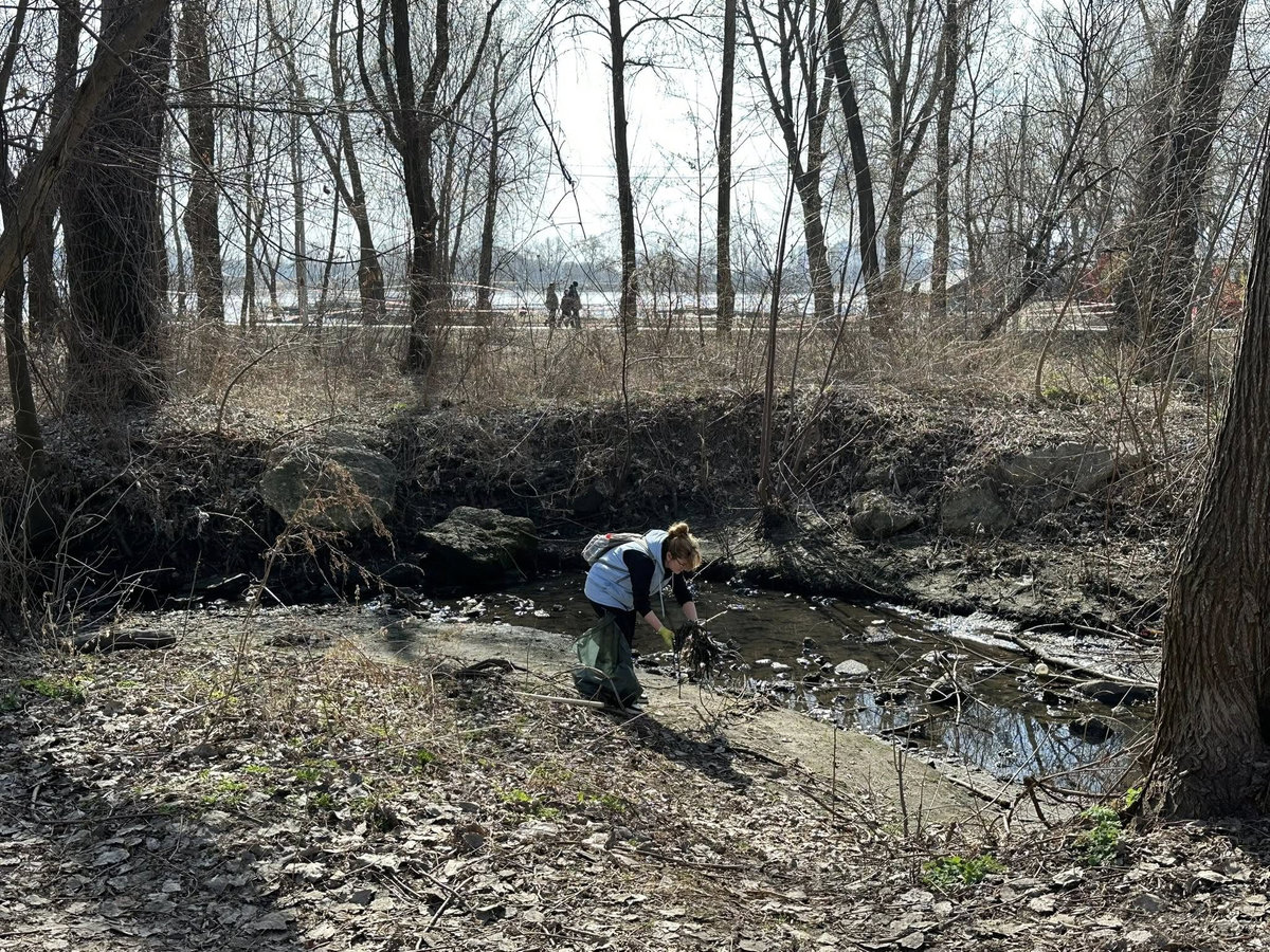 Толока на Оболонській затоці