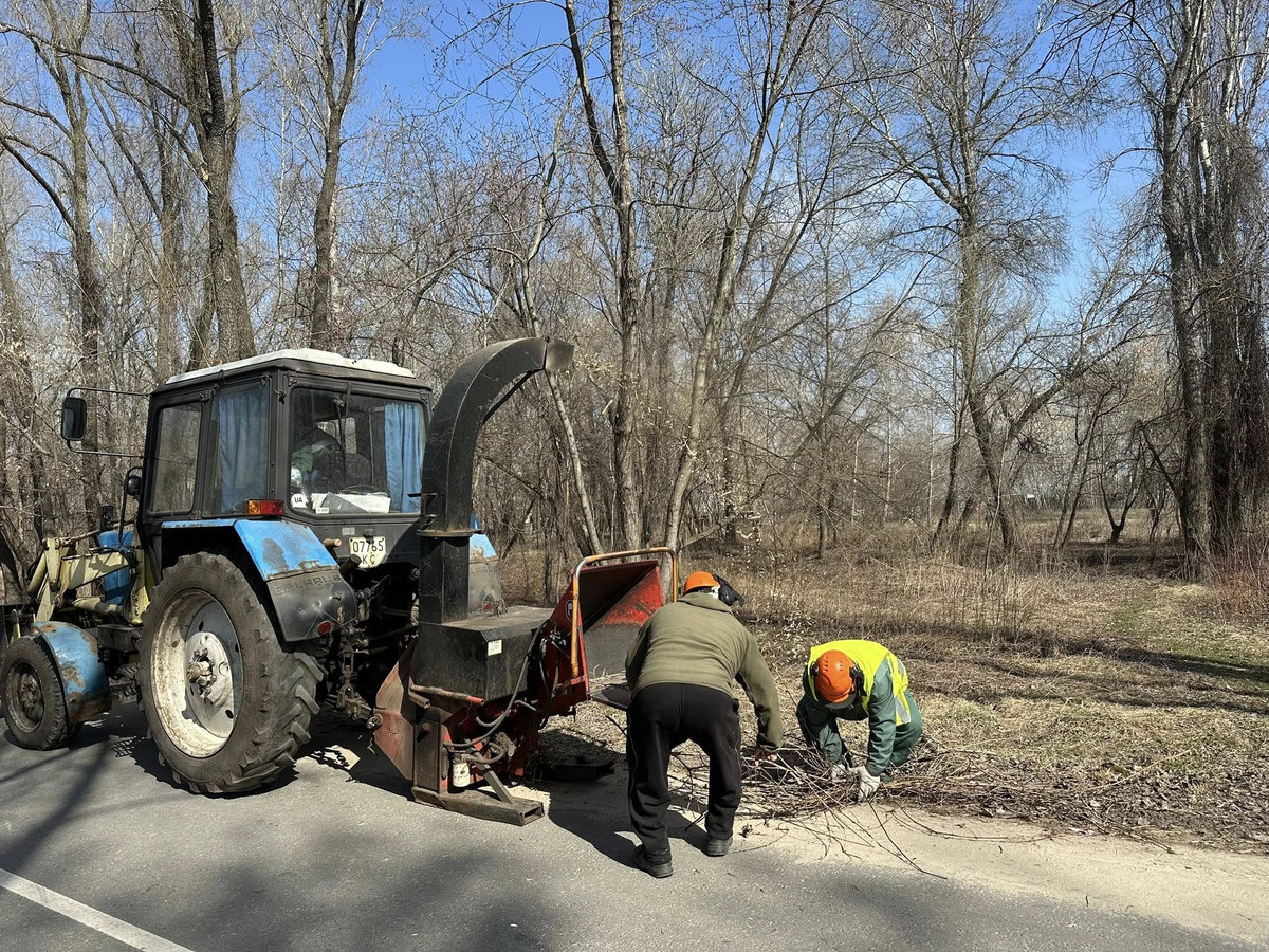 Толока на Оболонській затоці