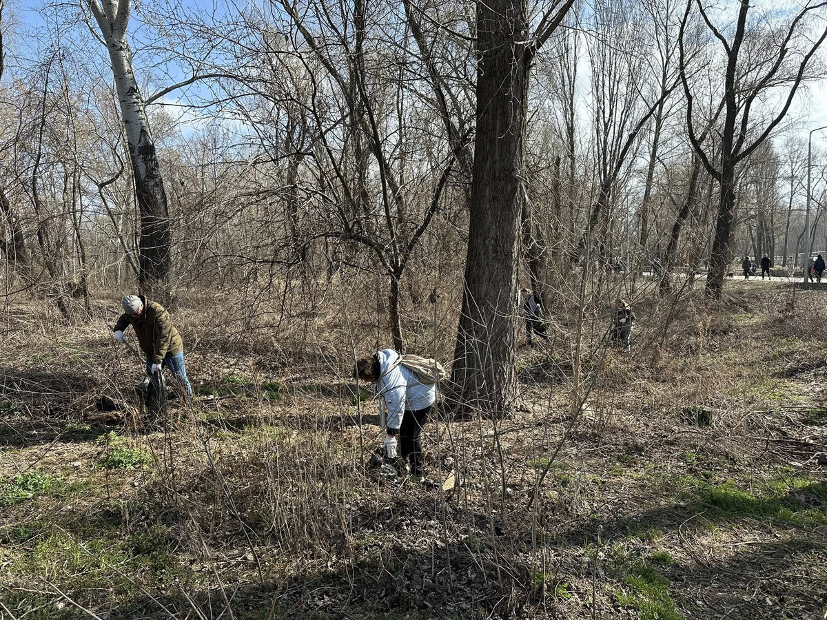 Толока на Оболонській затоці