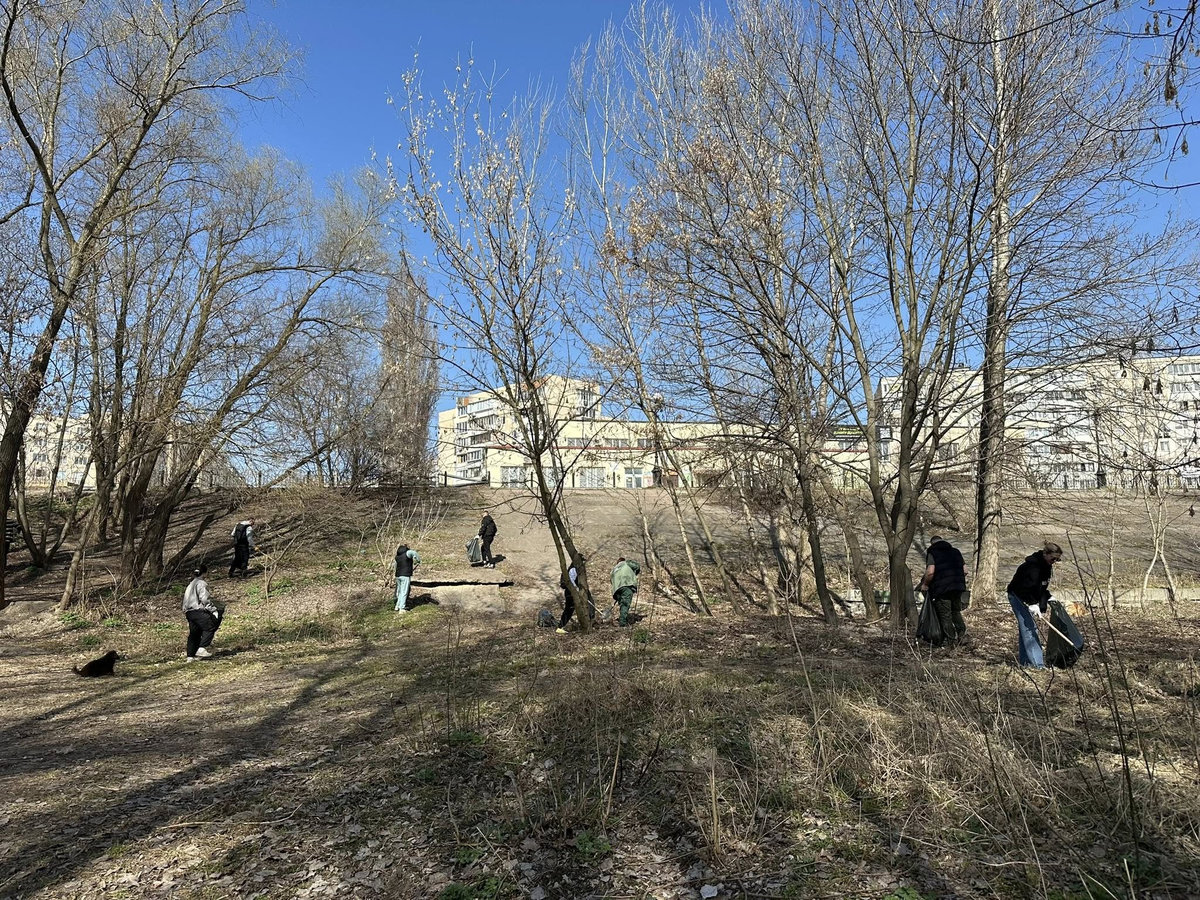 Толока на Оболонській затоці