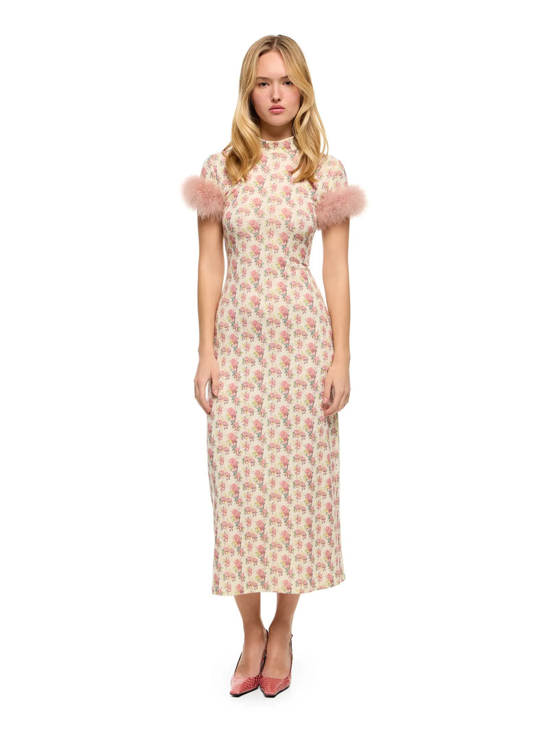 Сукня Bibliotheque nationale