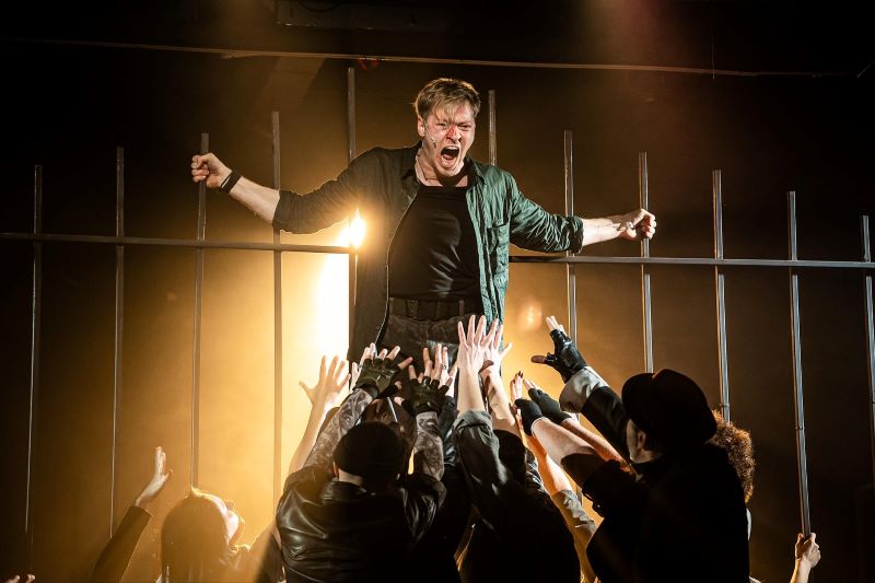 Дикий театр