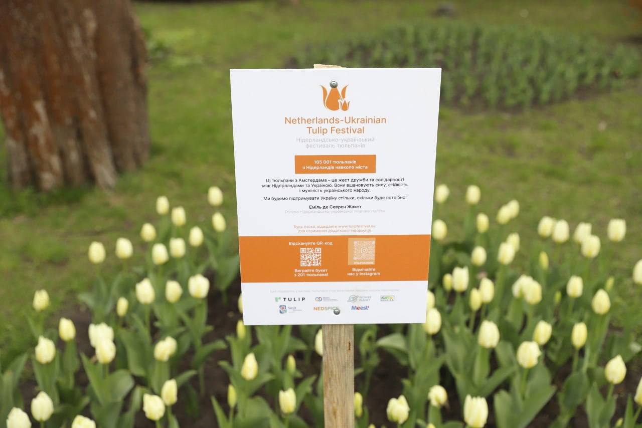 У Києві зацвіли перші тюльпани. Фото: Віта Олексишин/КМДА