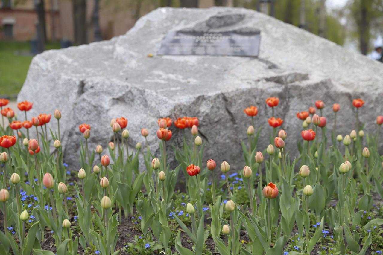 У Києві зацвіли перші тюльпани. Фото: Віта Олексишин/КМДА