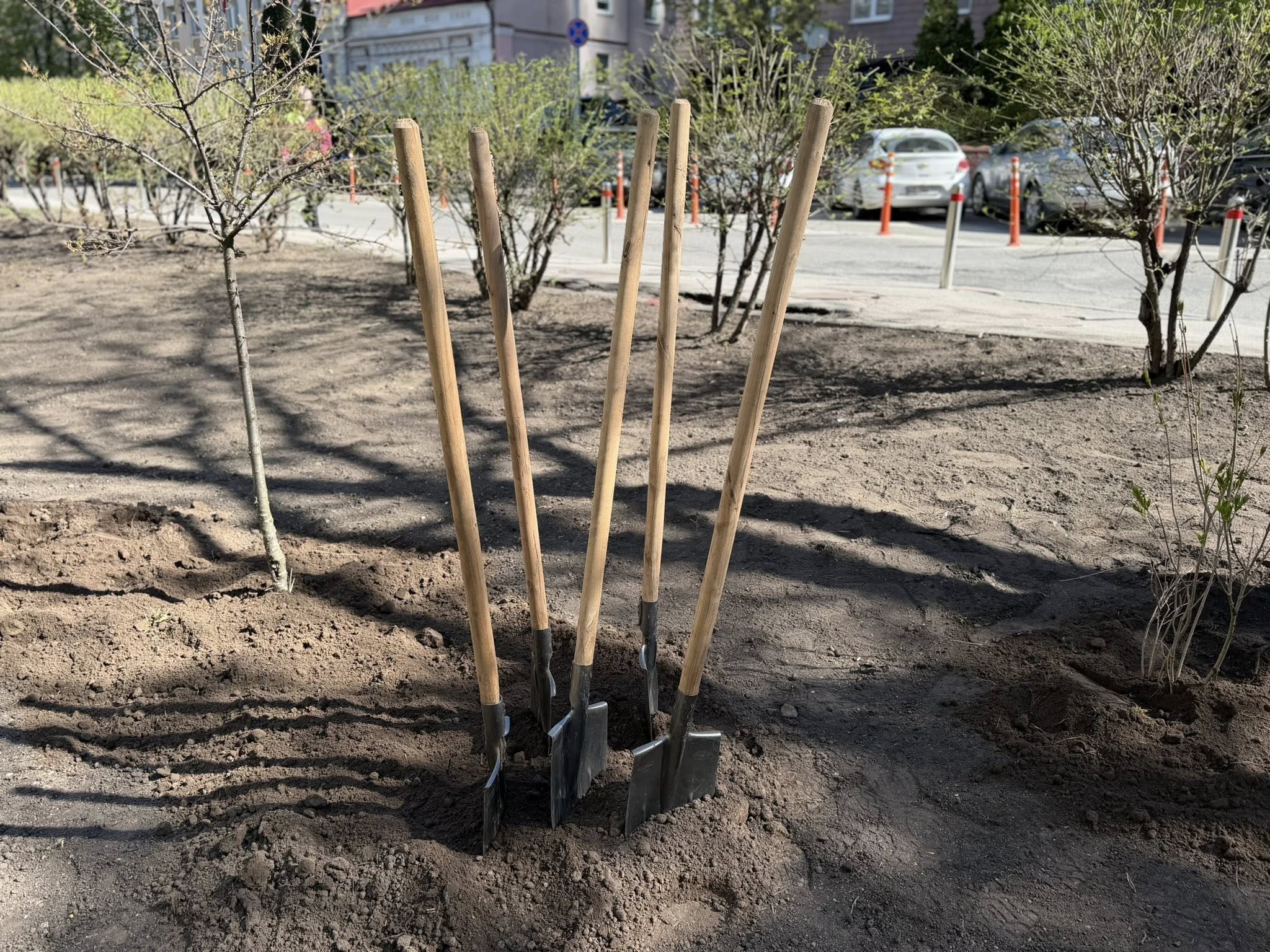 У Києві замість МАФів у День Землі облаштували зелену зону. Фото: КП УЗН Печерського району м.Києва 