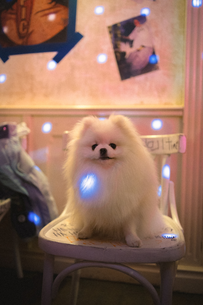 Epic Cheeseburger у Києві