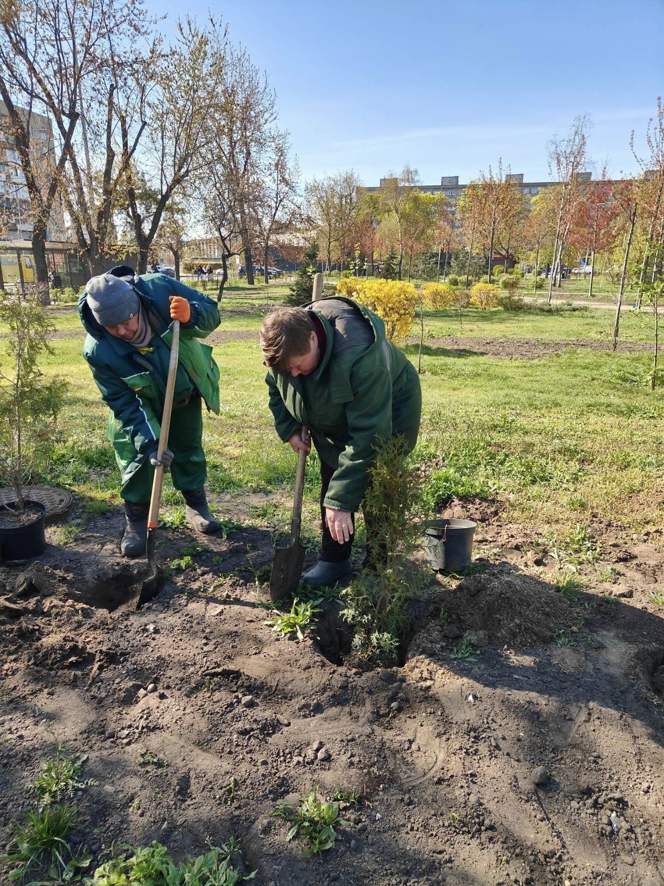 У Києві в зелених зонах з’явилось сотні дерев і тисячі рослин. Фото: facebook.com/zelenbud