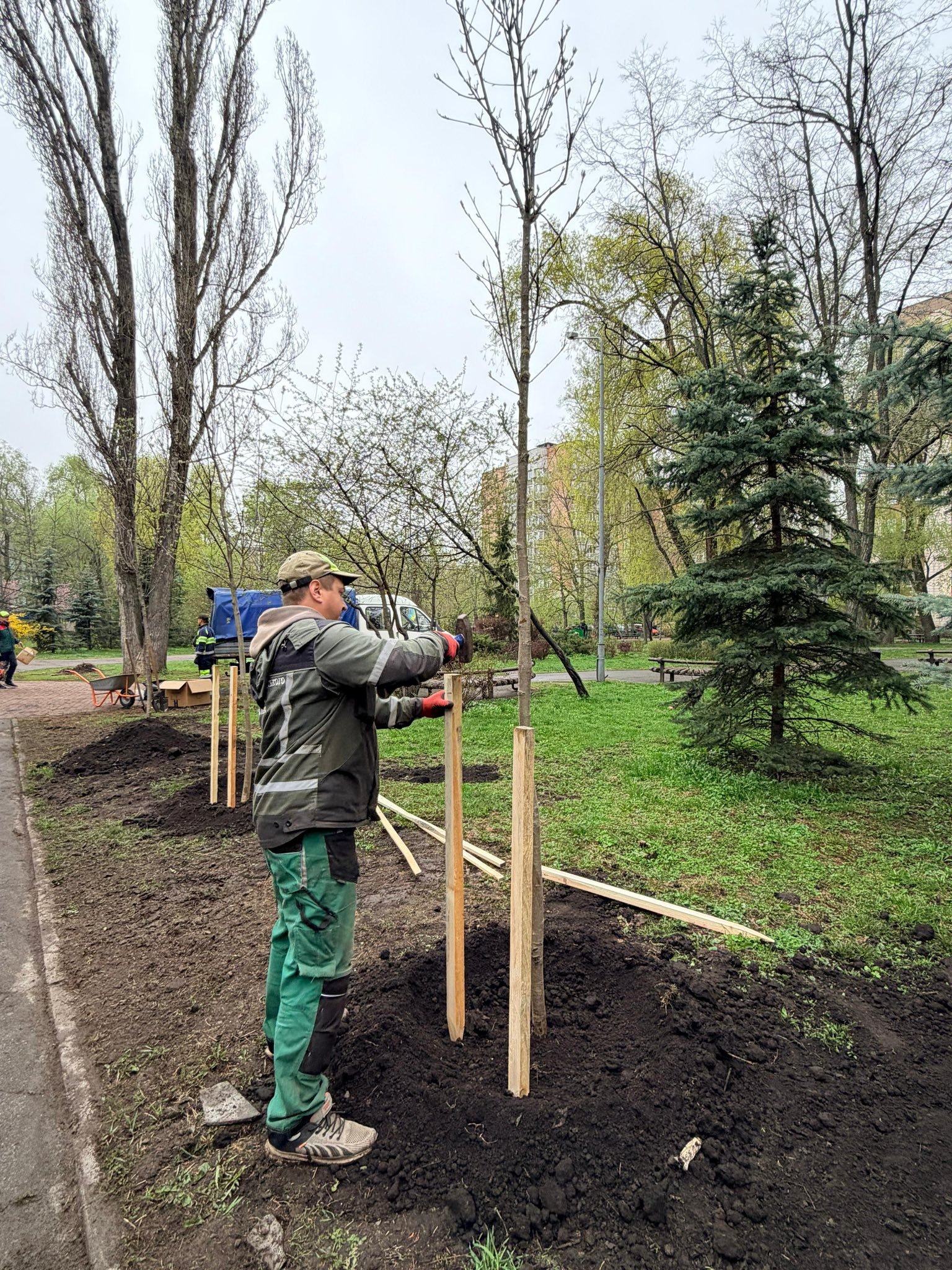 У Києві в зелених зонах з’явилось сотні дерев і тисячі рослин. Фото: facebook.com/zelenbud