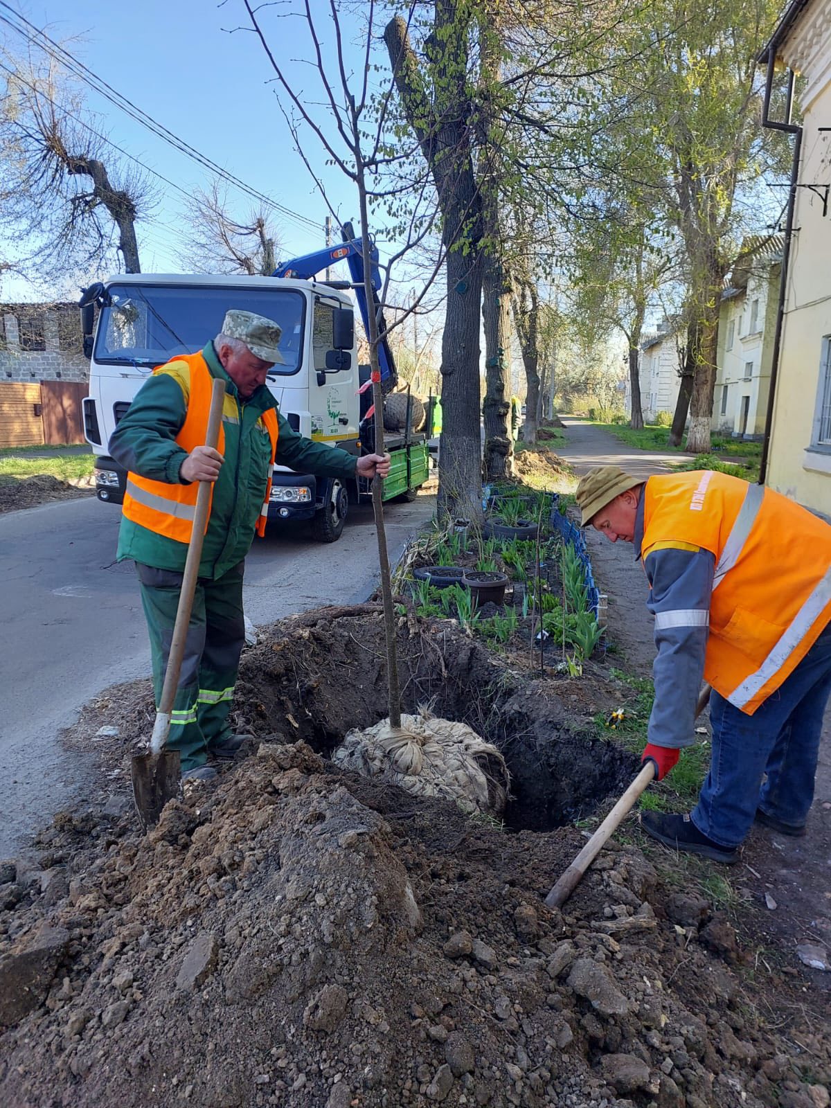 У Києві в зелених зонах з’явилось сотні дерев і тисячі рослин. Фото: facebook.com/zelenbud