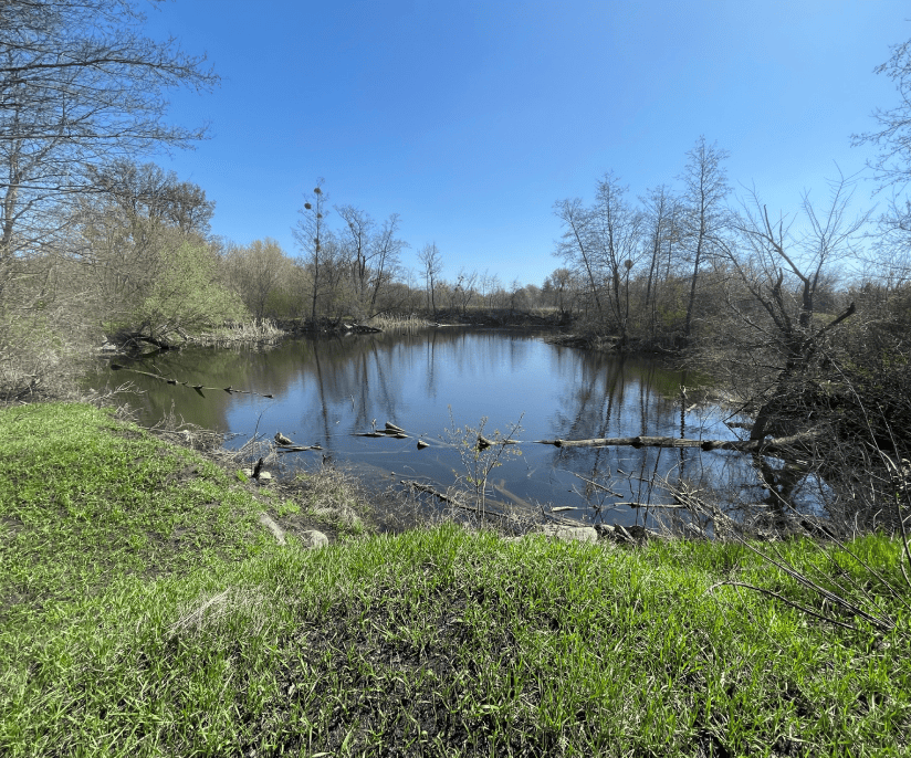 Продається водяний млин 1909 року на Київщині