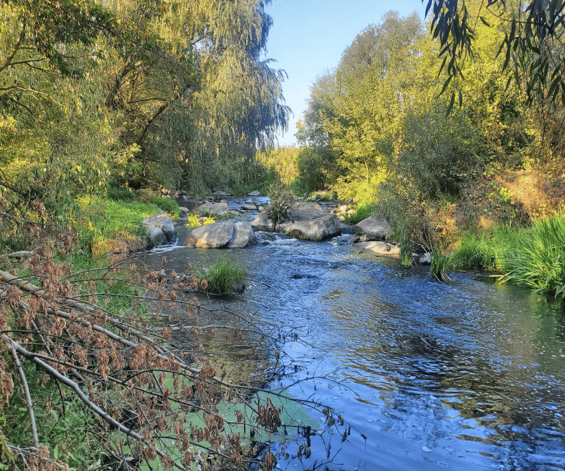 Продається водяний млин 1909 року на Київщині