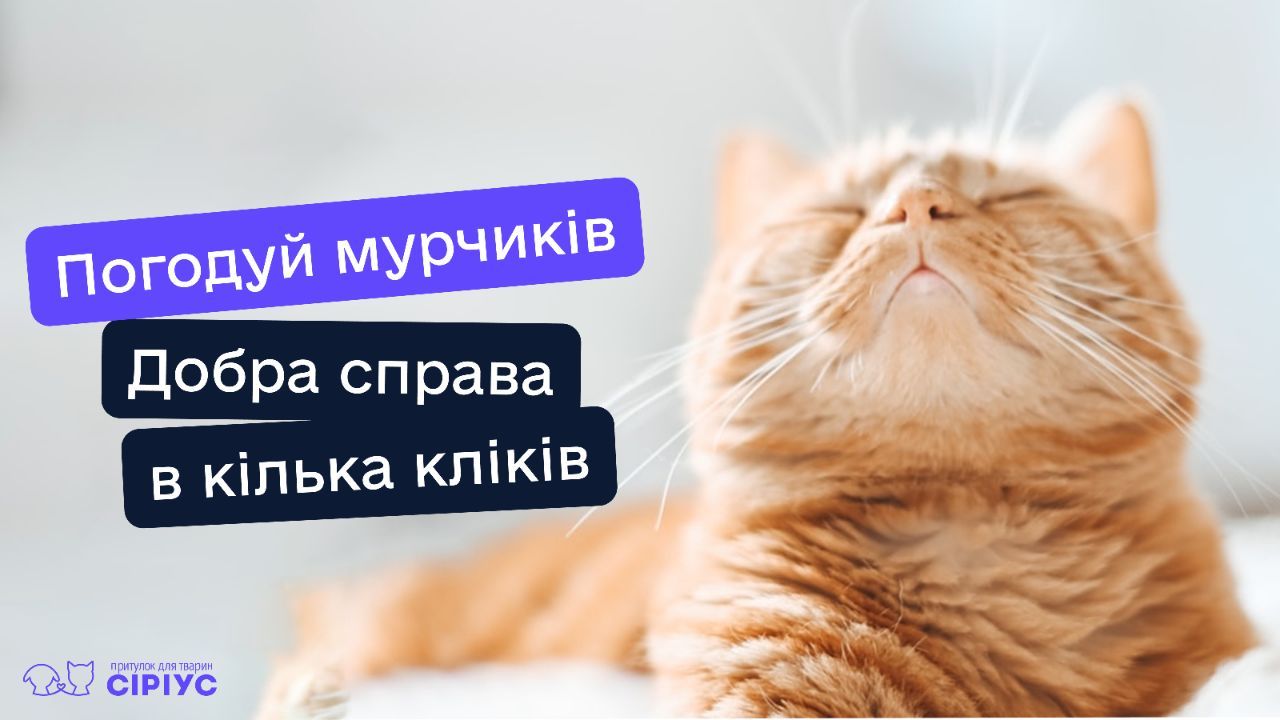 У притулку "Сіріус" запустили підписку на годування котів. Фото: 