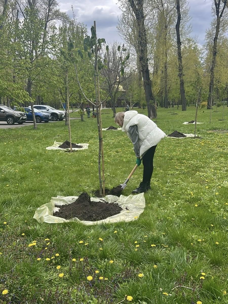 У Києві в межах екологічної акції було висаджено 633 дерева. Фото: КО 