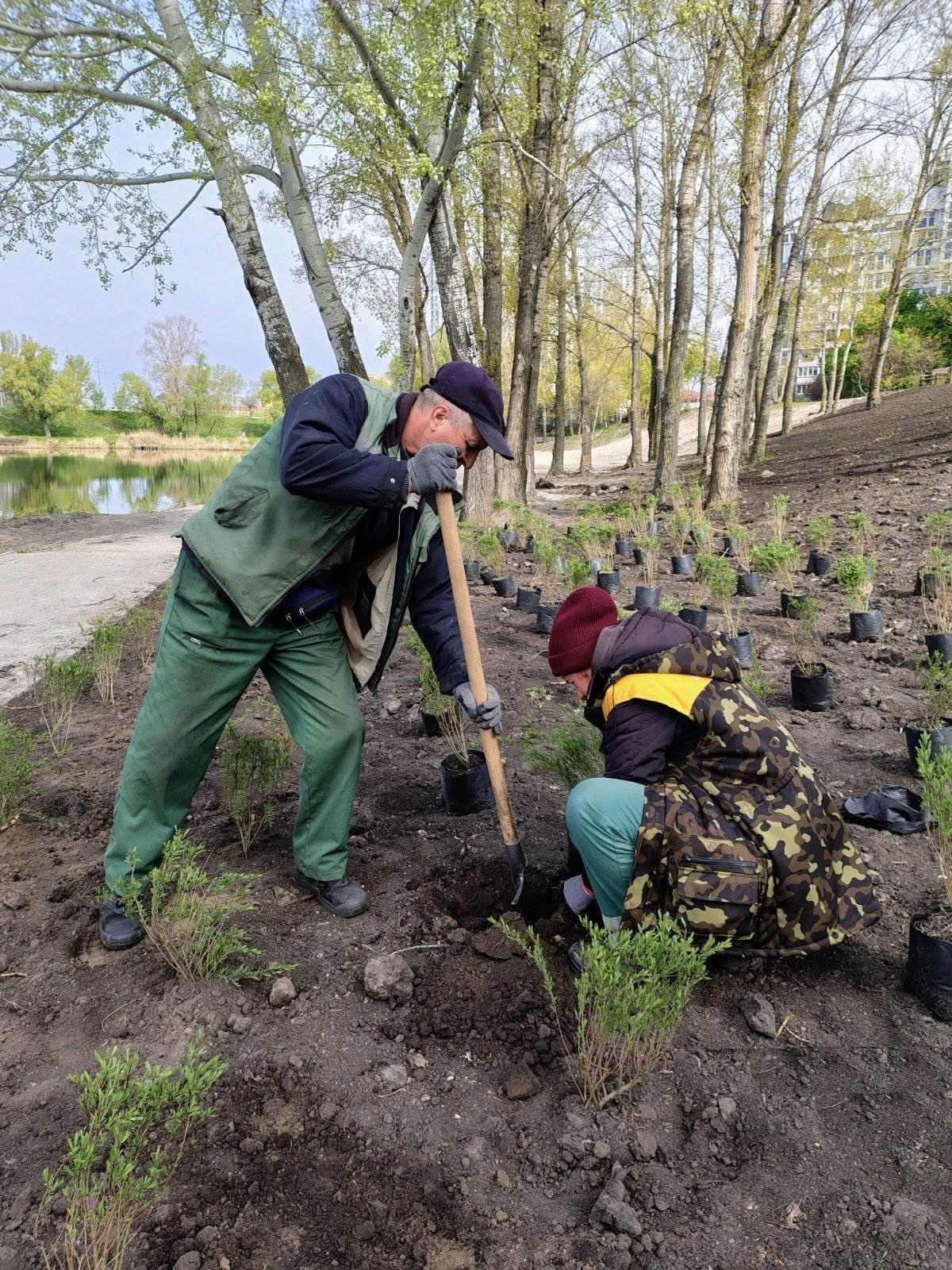 У Києві в межах екологічної акції було висаджено 633 дерева. Фото: КО 