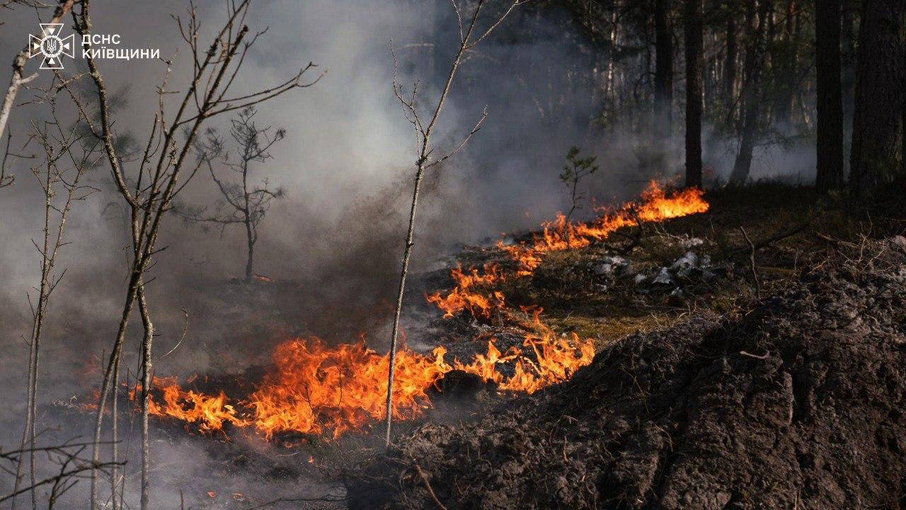 У Зоні відчуження на Київщині продовжують ліквідацію пожежі. Фото: ДСНС