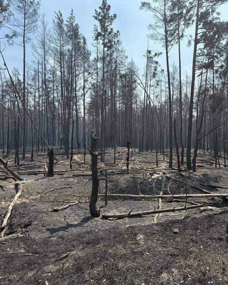 Пожежа у Чорнобильській зоні відчуження досі триває. Фото: facebook.com/zapovidnyk2018