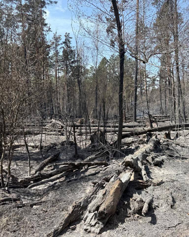 Пожежа у Чорнобильській зоні відчуження досі триває. Фото: facebook.com/zapovidnyk2018